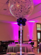 Confetti, Double Collar and Light-up Tail